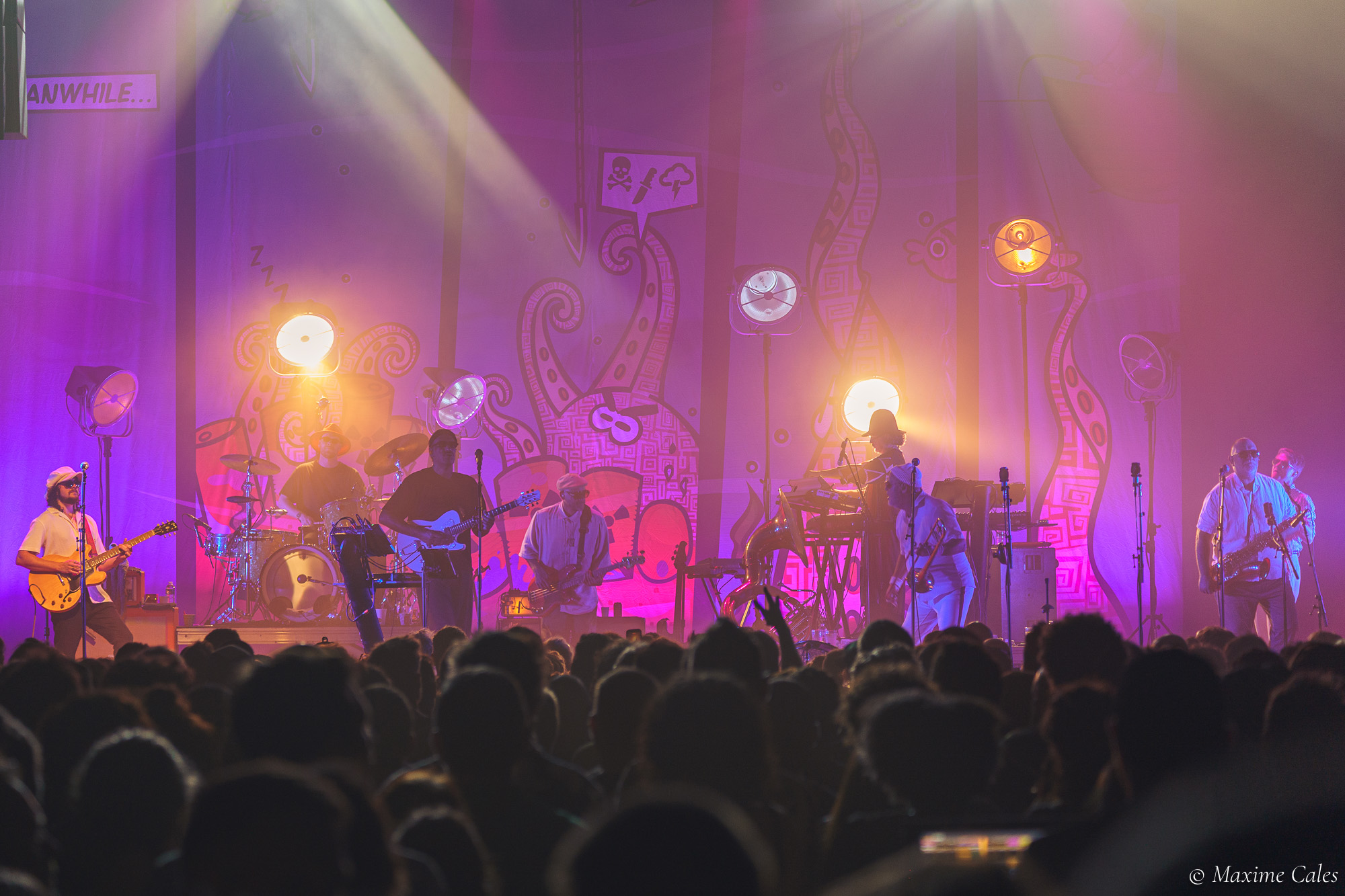 Fat Freddy's Drop à contre-jour dans la lumière rose, public du Bikini au premier plan